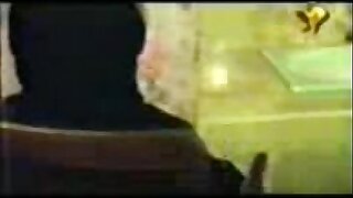 naheed shref